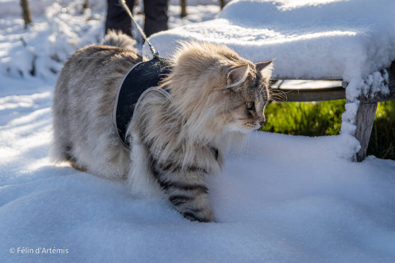 Gshanga - 3 décembre 2023