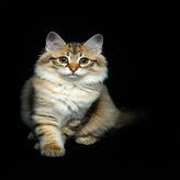 2025-09-06_21-39-39-2-standard-t9mjd5.jpg