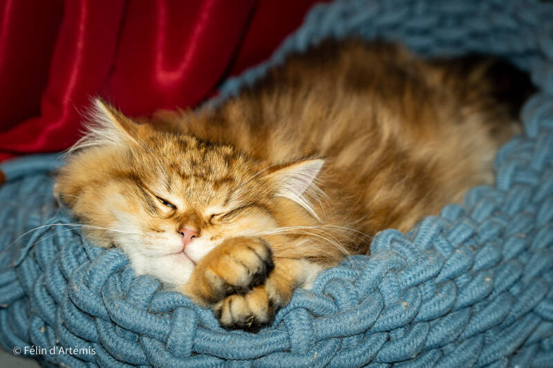 Ucigan - 3 mars 2024