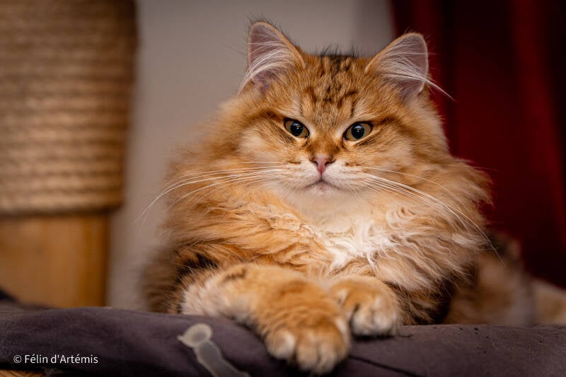 Ucigan - 18  mars 2024