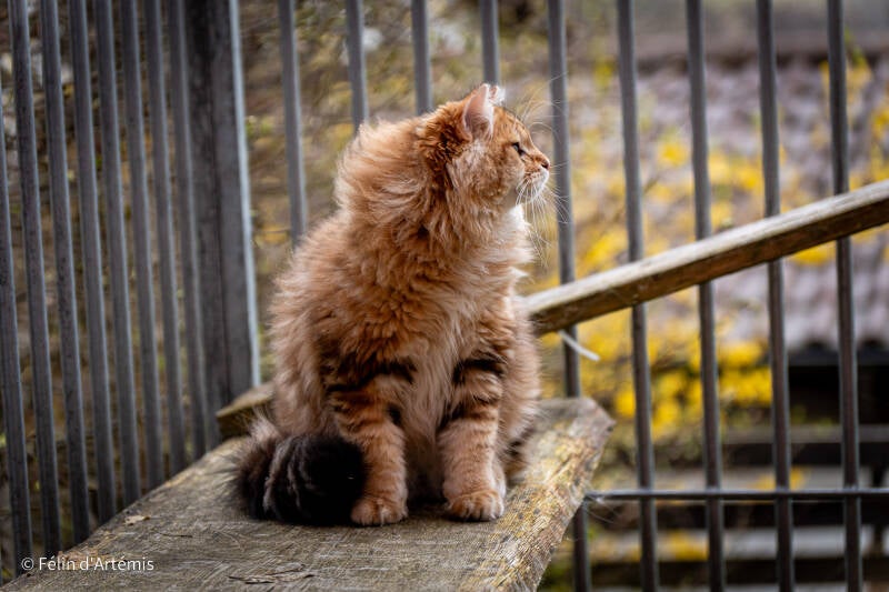 Ucigan - 30 mars 2024