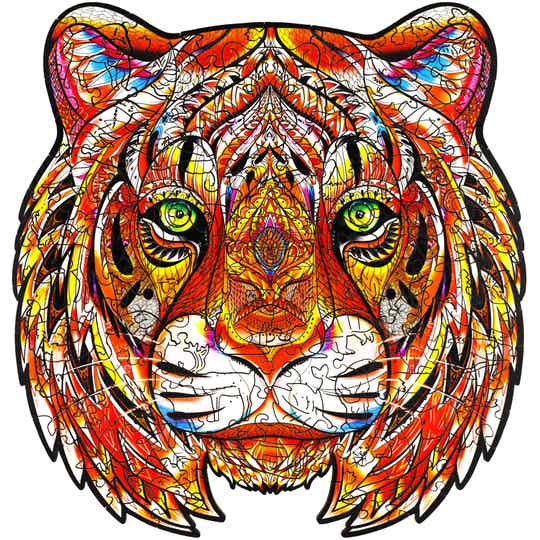Amur Tiger