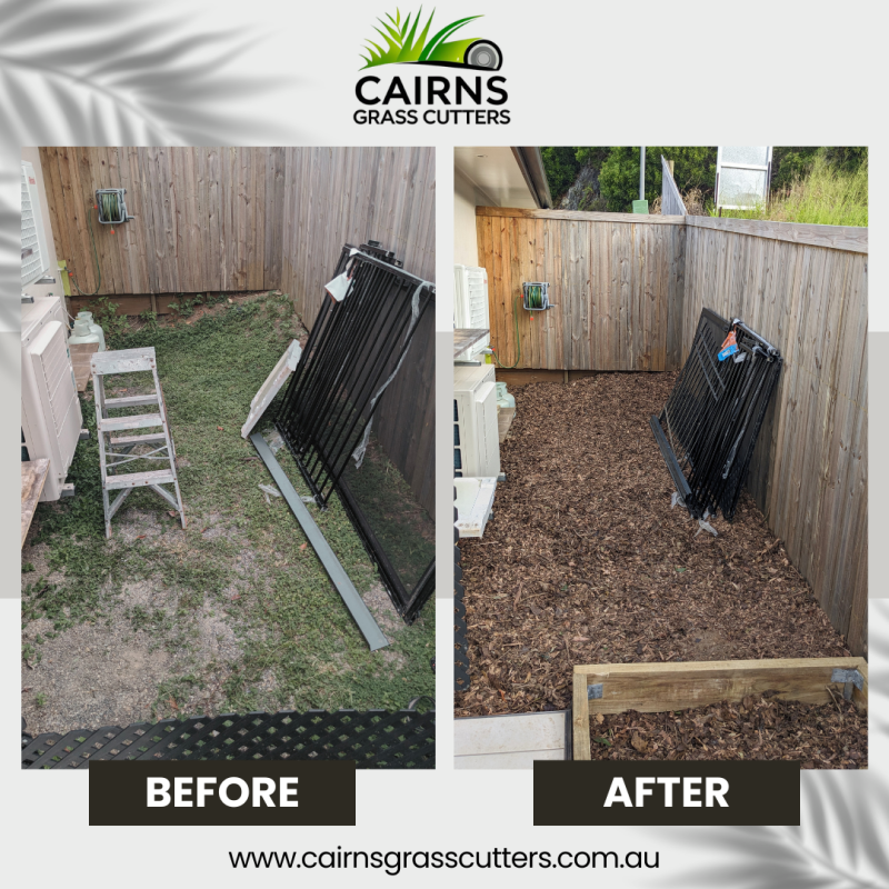 Before & After Photo