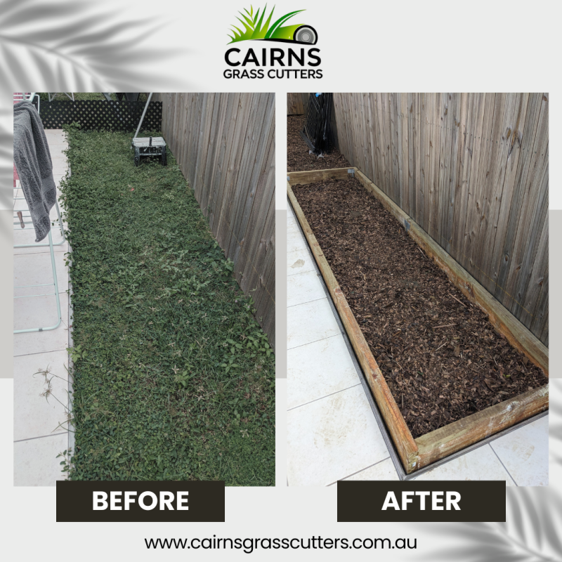 Before & After Photo