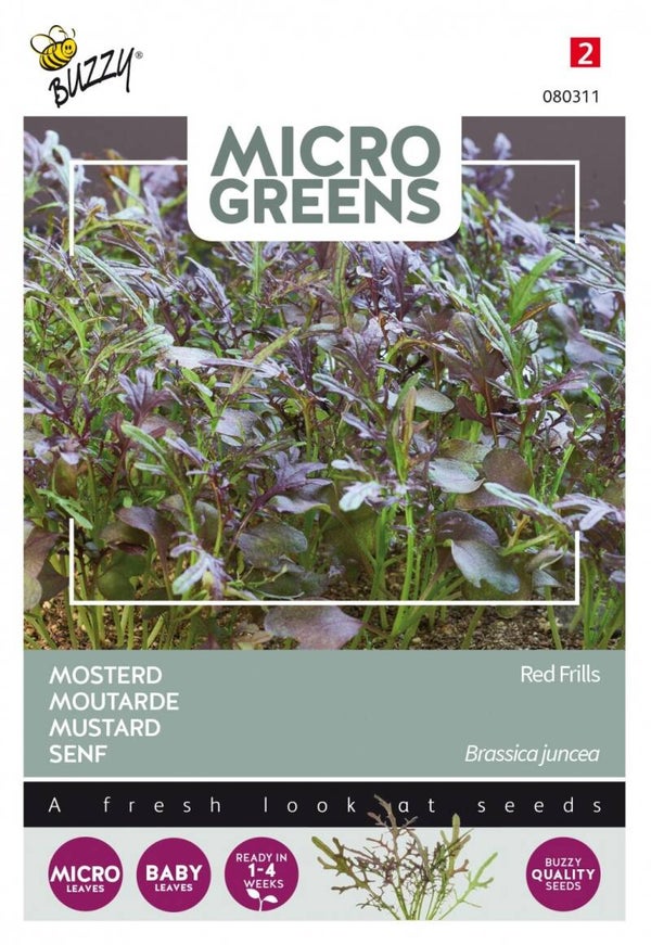 Buzzy® Microgreens - Mosterd
