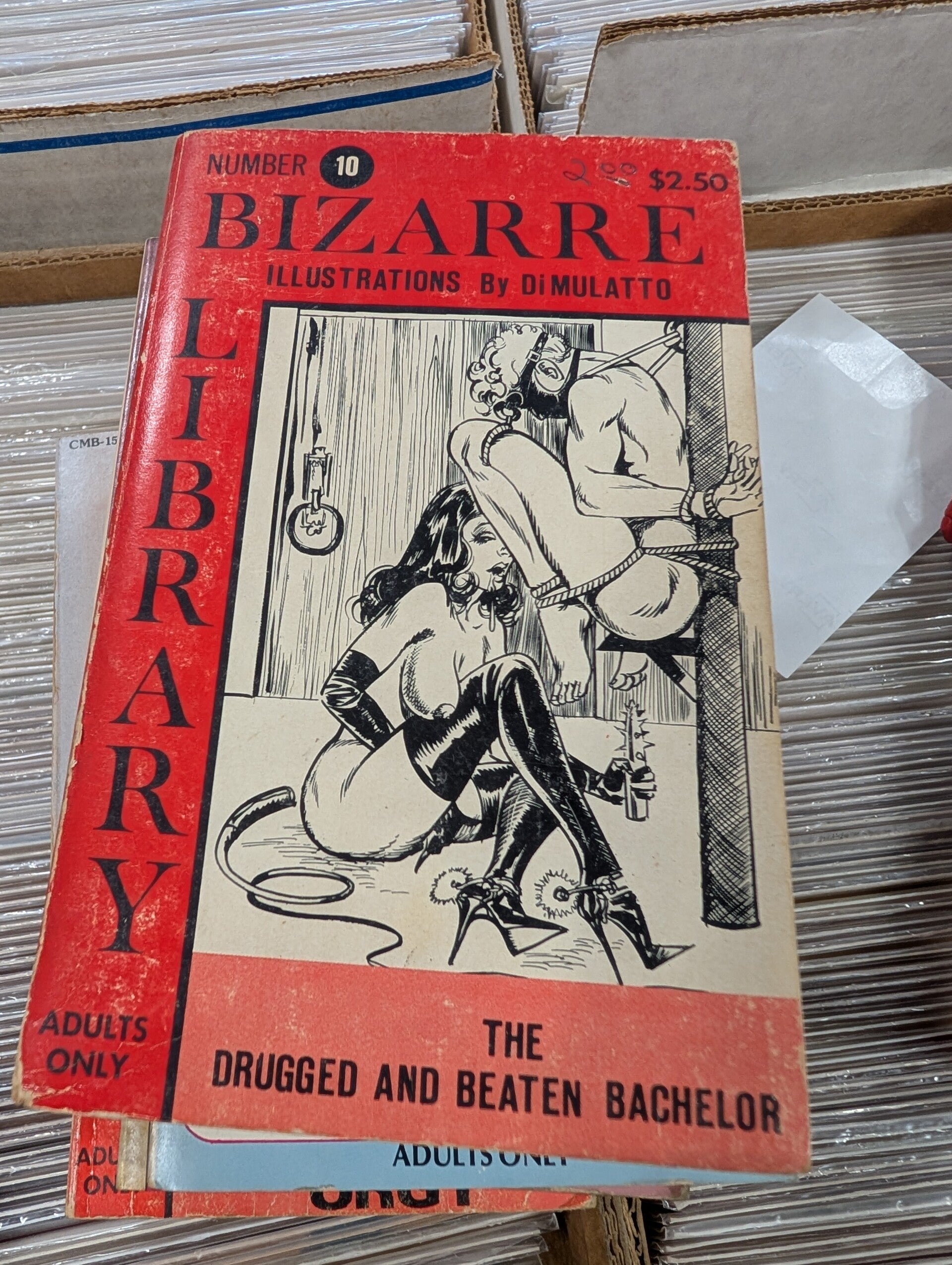 The drugged and beaten bachelor