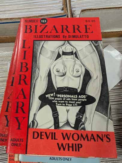 Devil woman's whip 1984