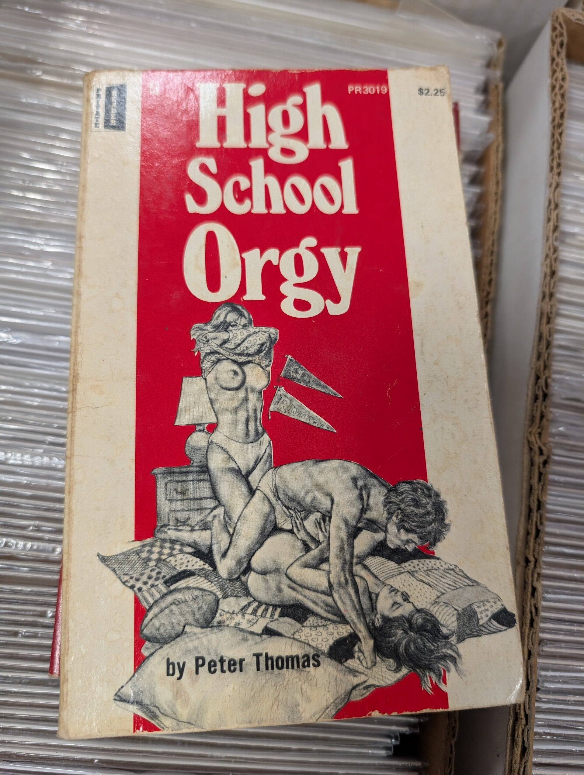 High School Orgy 1974