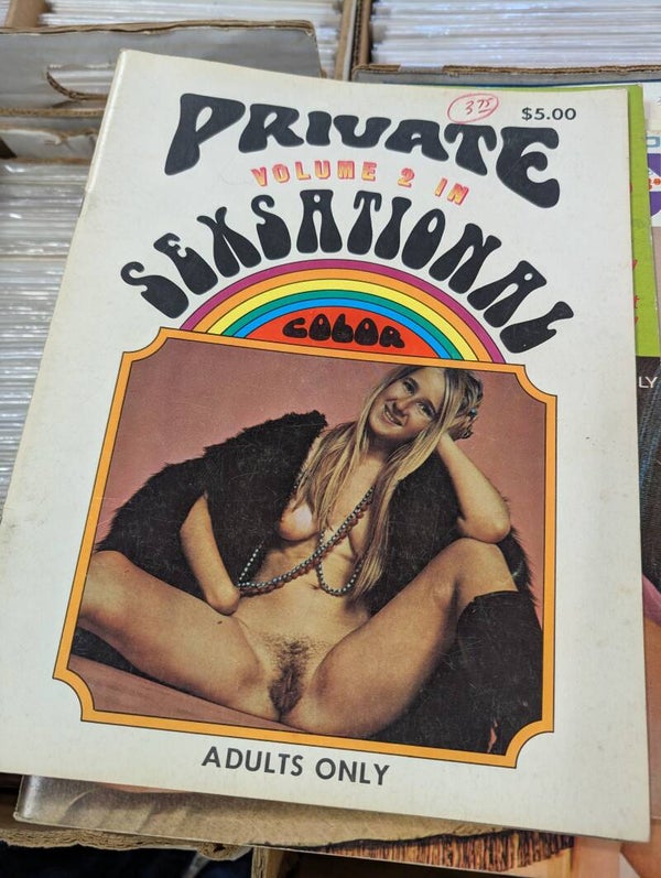 Private sexsational #2