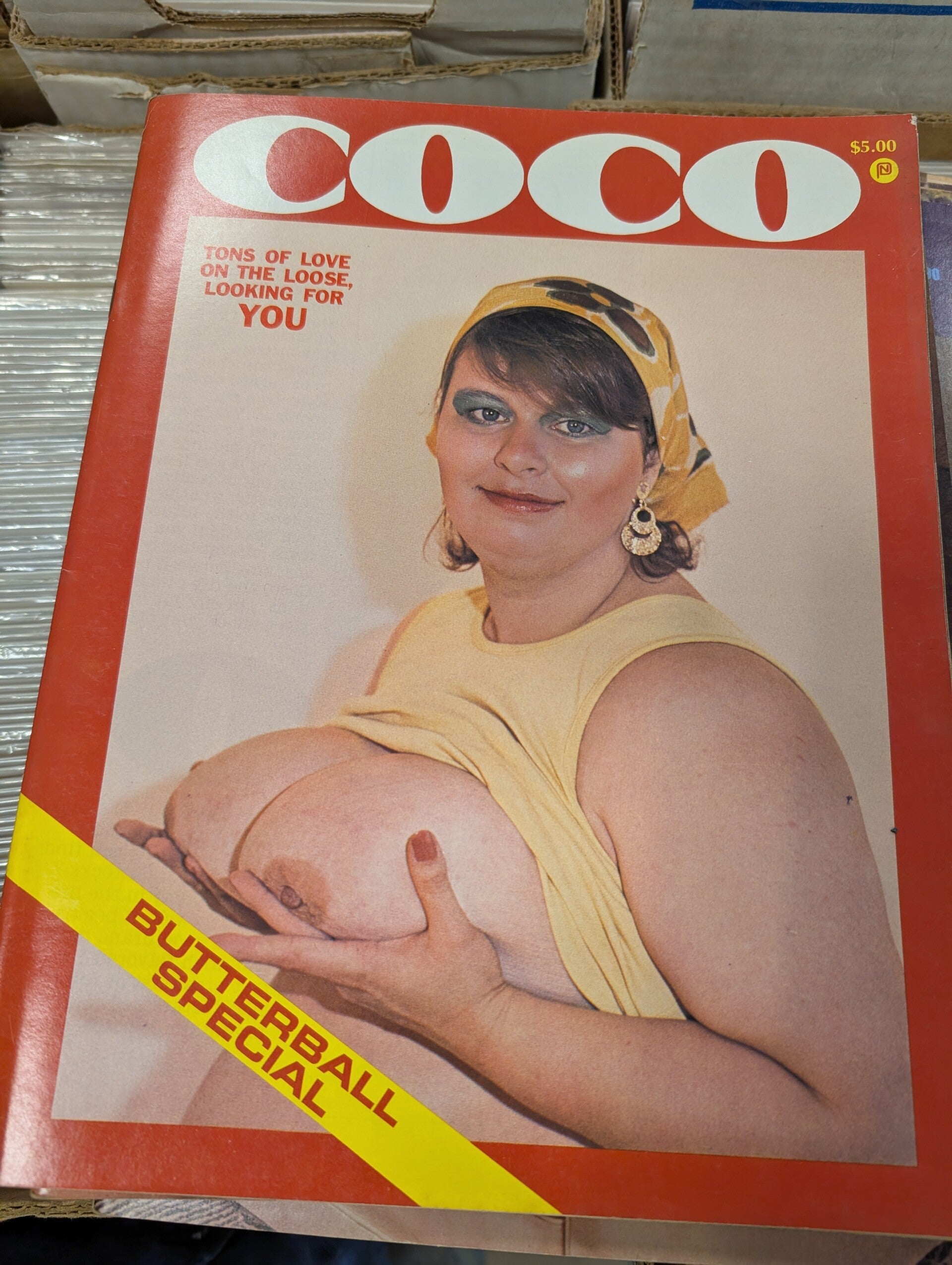 Coco 1979 parliament