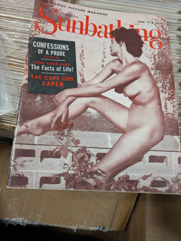 Modern Sunbathing June 1954