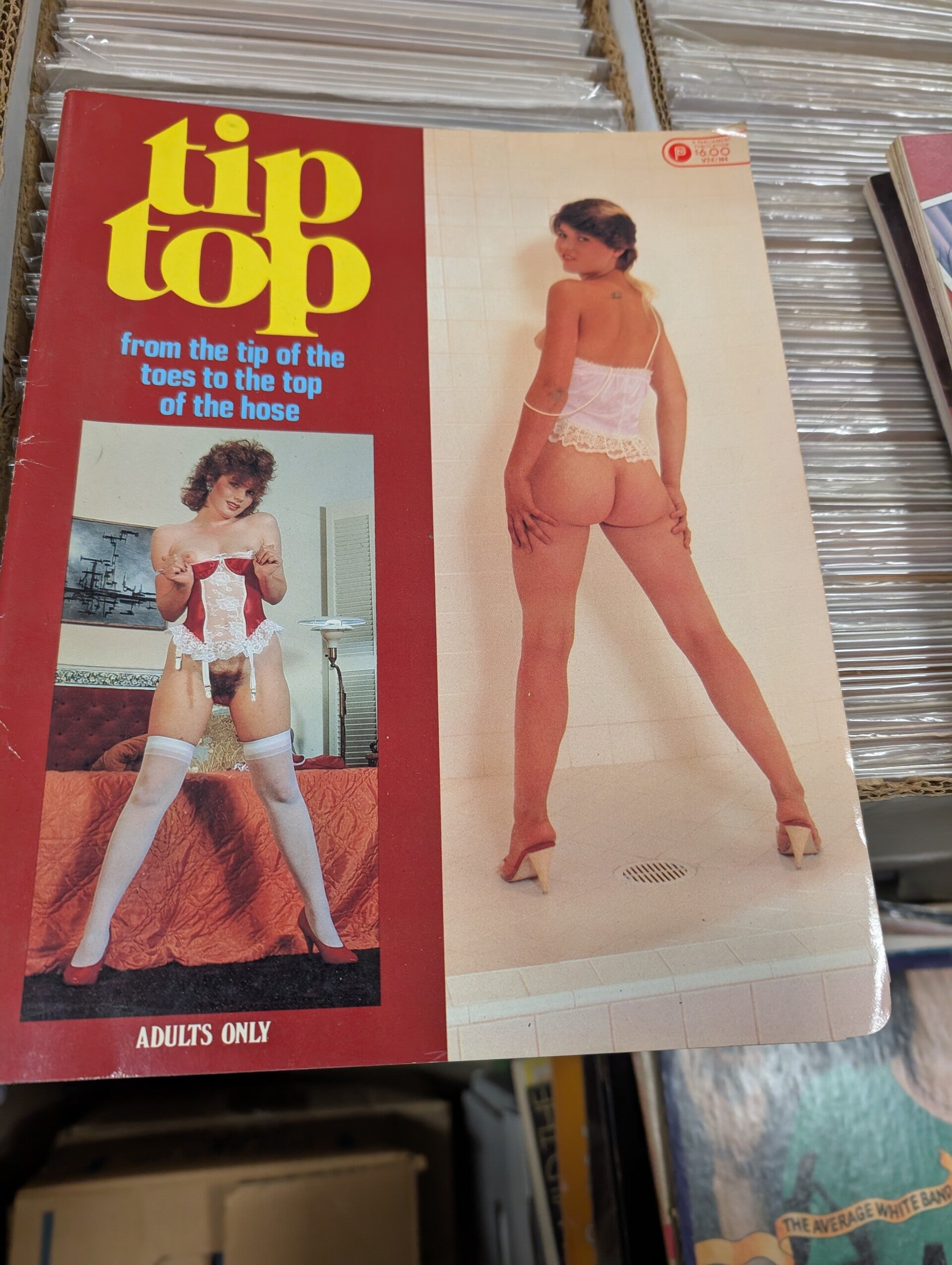 Tip Top vol 24 no 4 1986 parliament