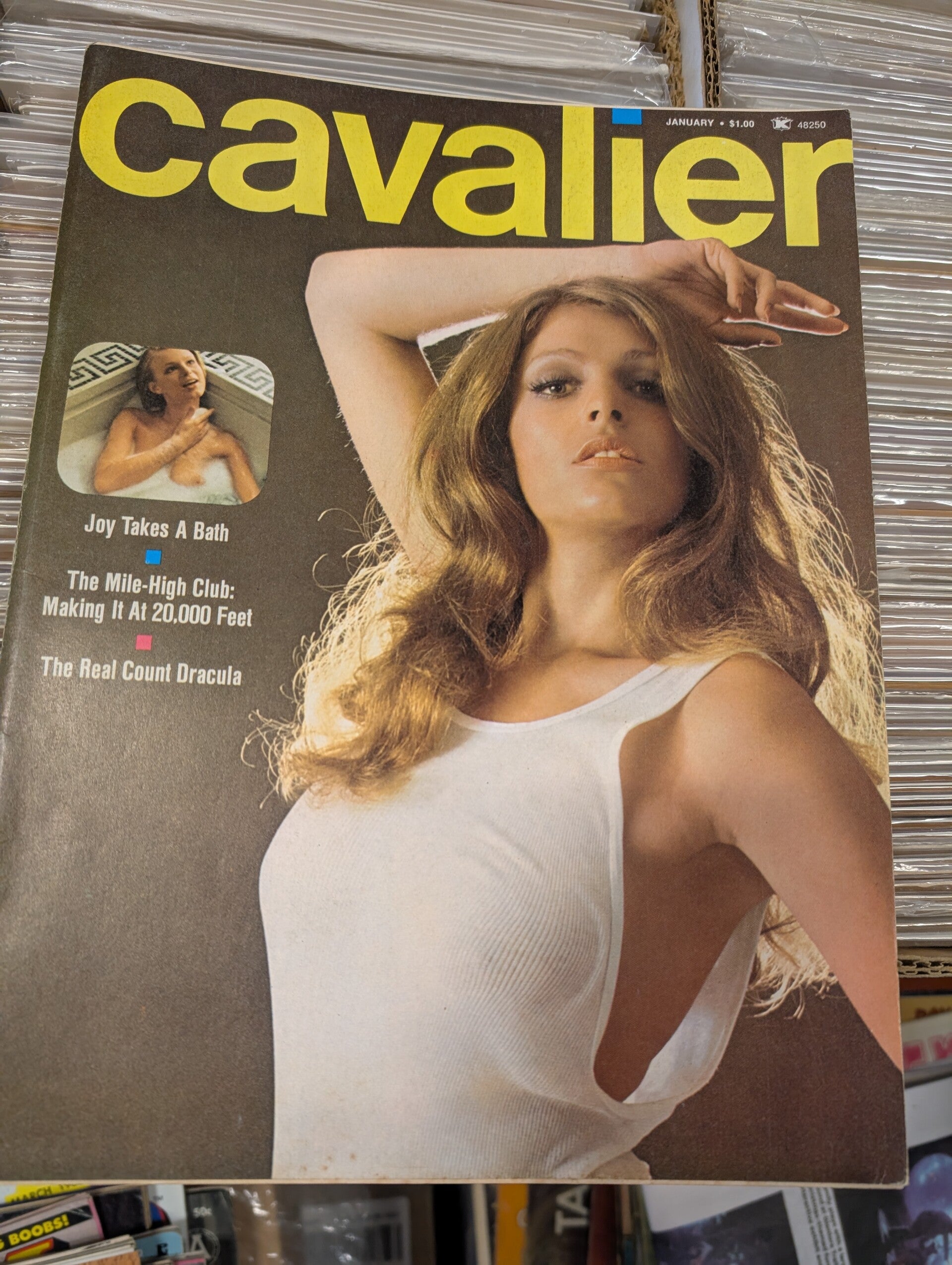 Cavalier January 1973 Vaughn Bode