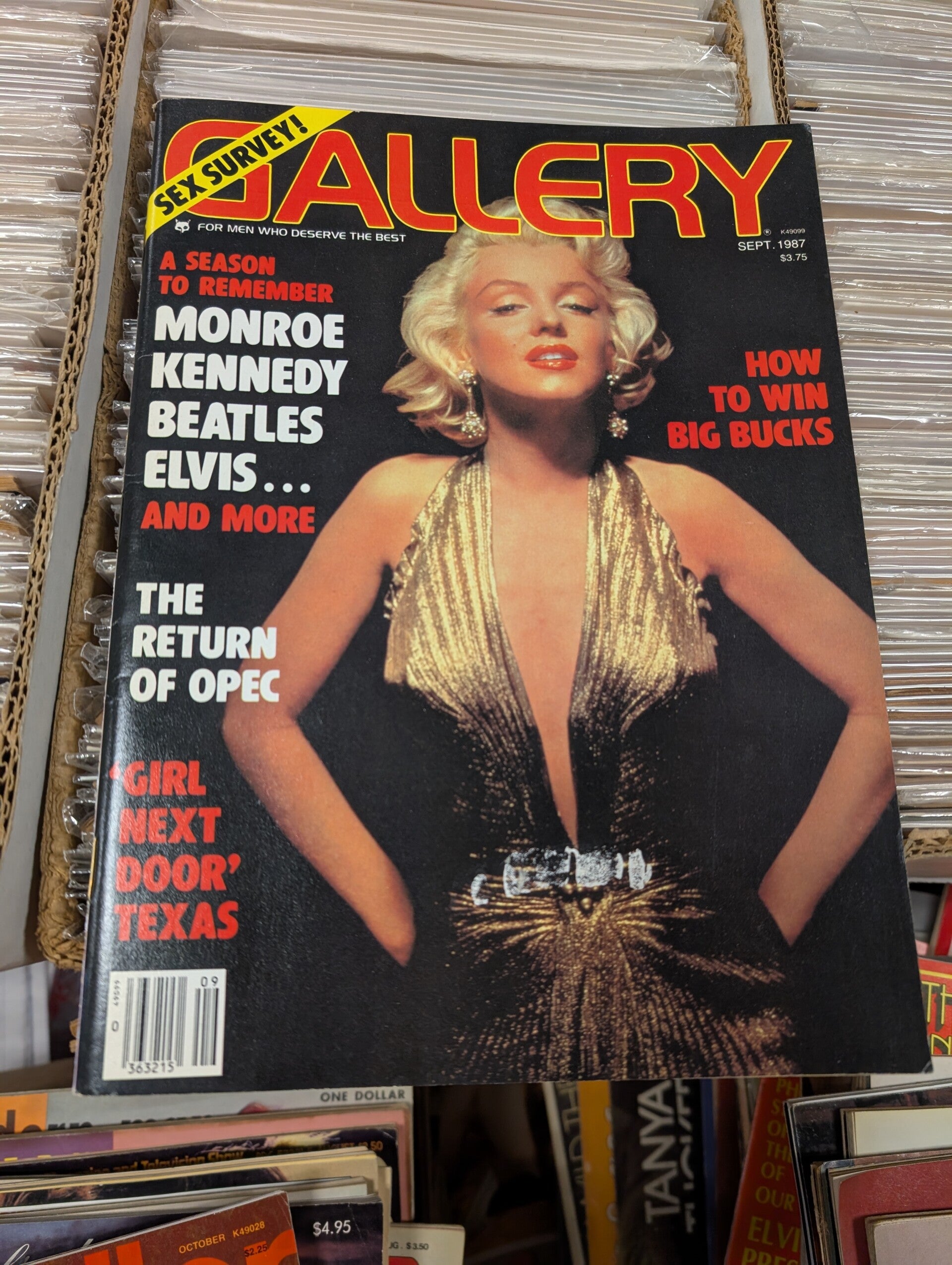 Gallery September 1987