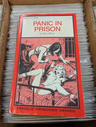 Panic in Prison 1985