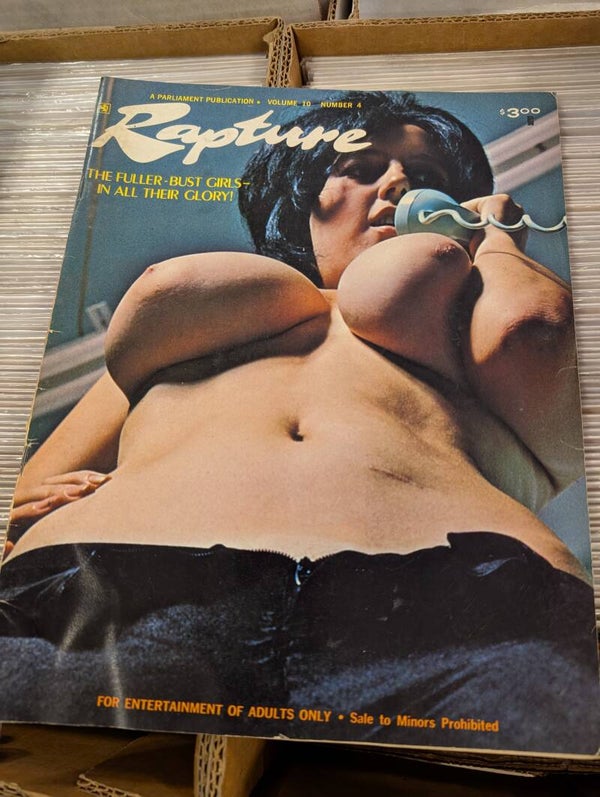 Rapture vol 10 no 4 1973