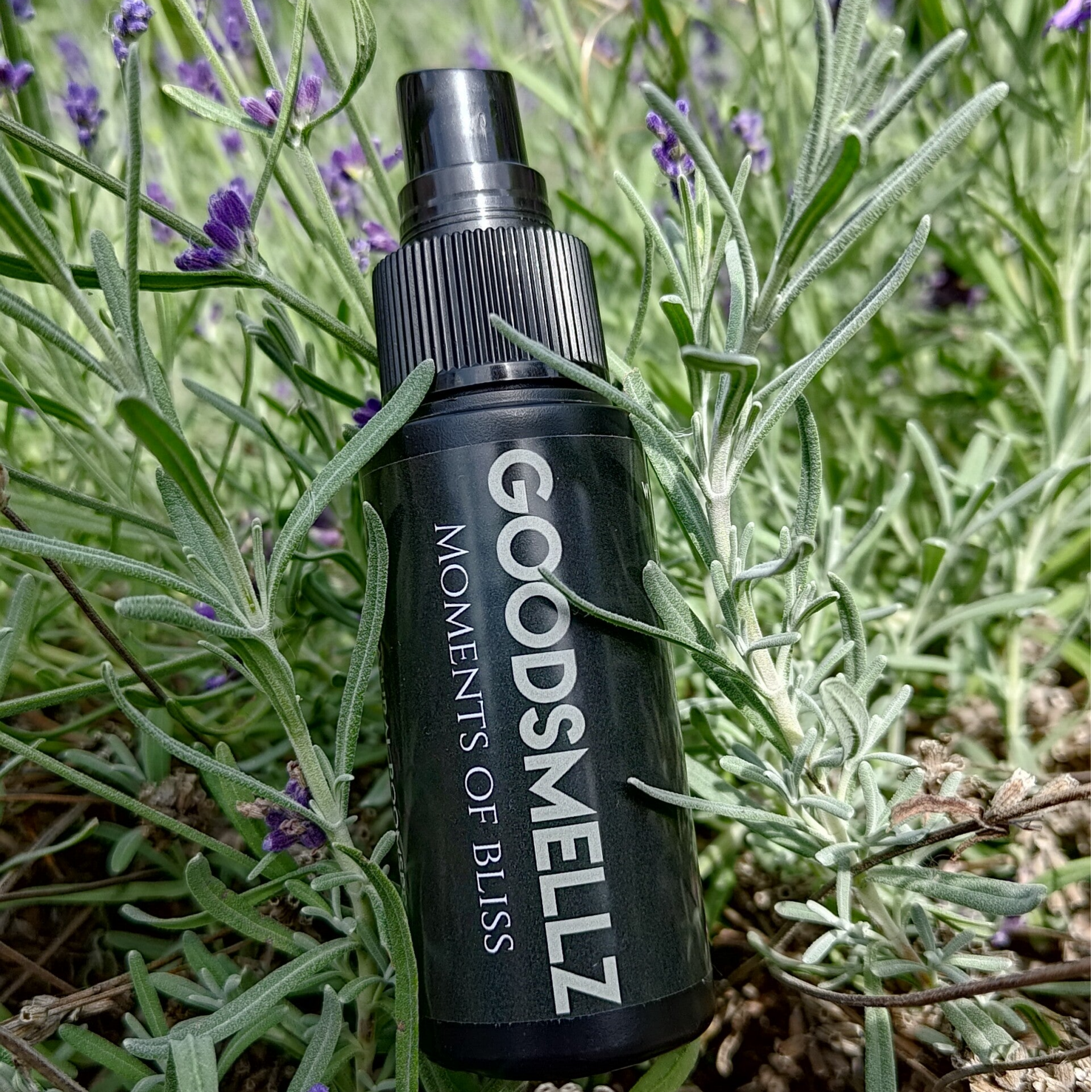 Moments of bliss - 50ml