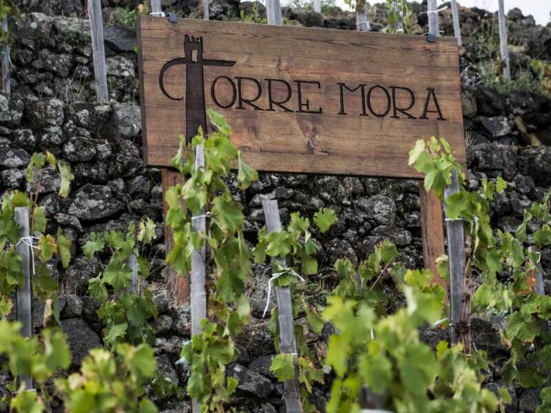 Torre Mora - Etna
