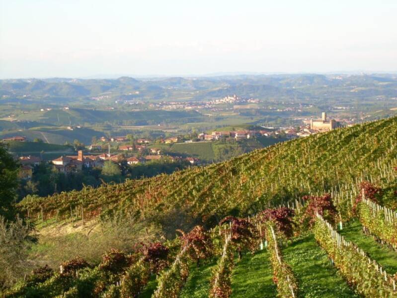 zienda Vitivinicola Manzone Giovanni