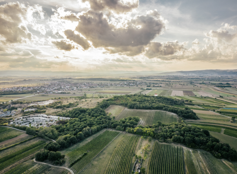 Weingut Esterházy