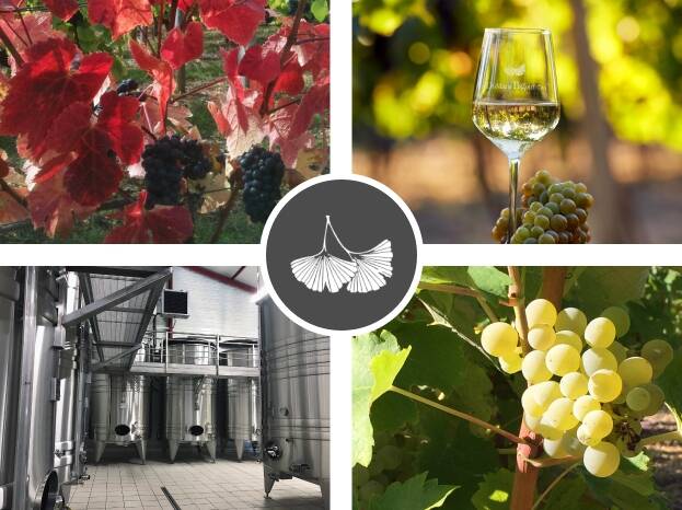 Domaine Bigonneau, Reuilly