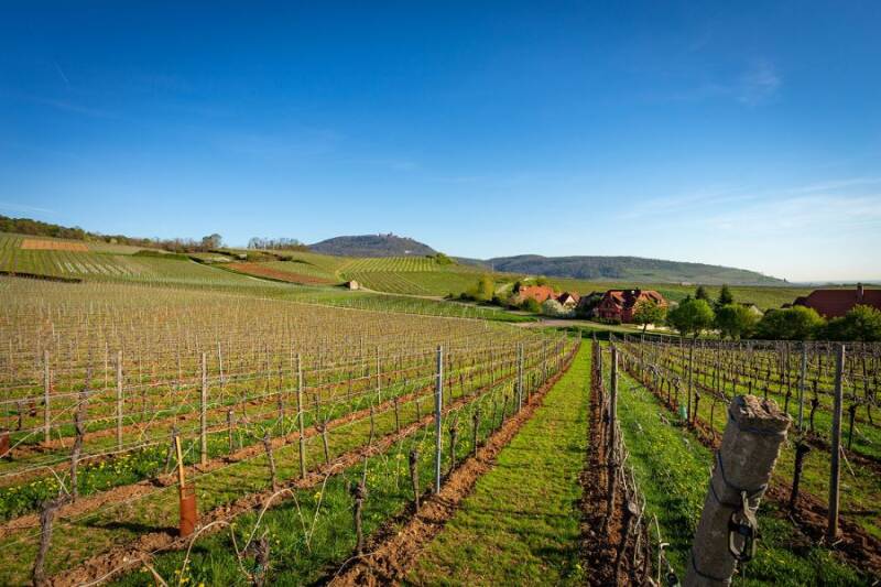 Domaine Fernand Engel