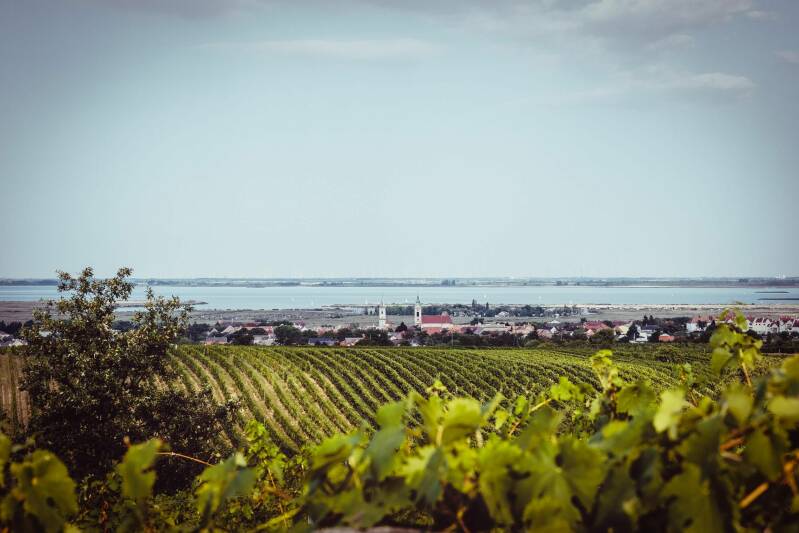 Neusiedlersee