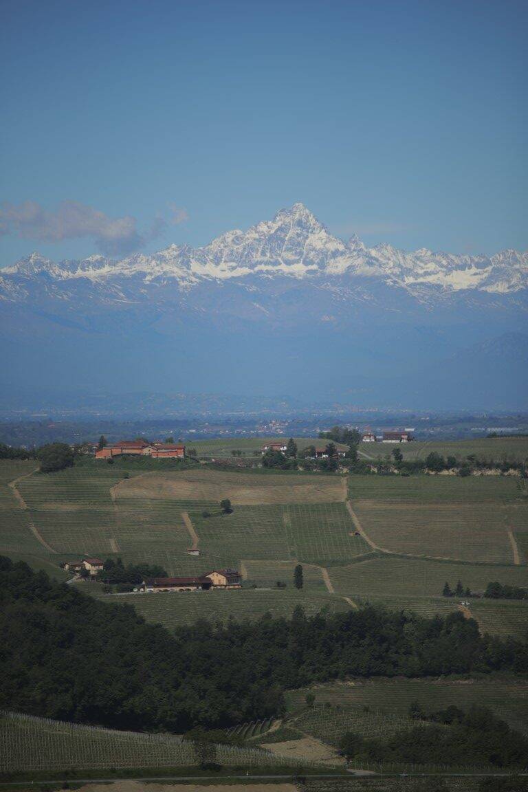 zienda Vitivinicola Manzone Giovanni