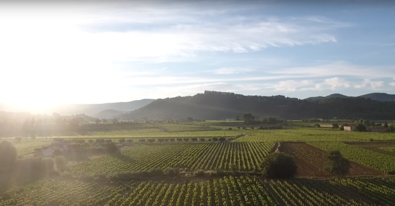 Domaine La Suffrène, Bandol