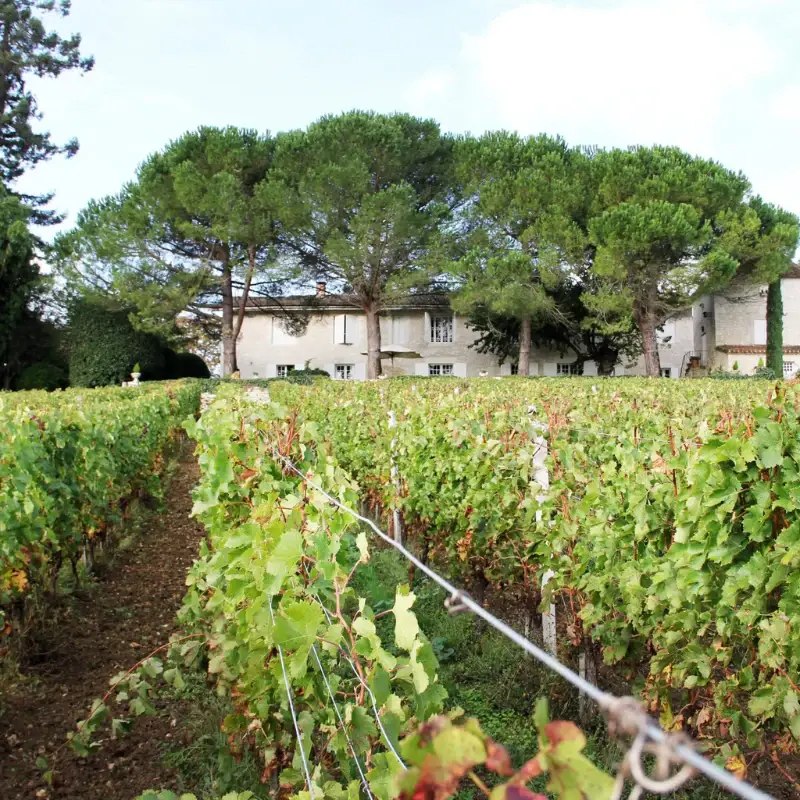Château Hostens-Picant