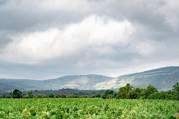 Corbières