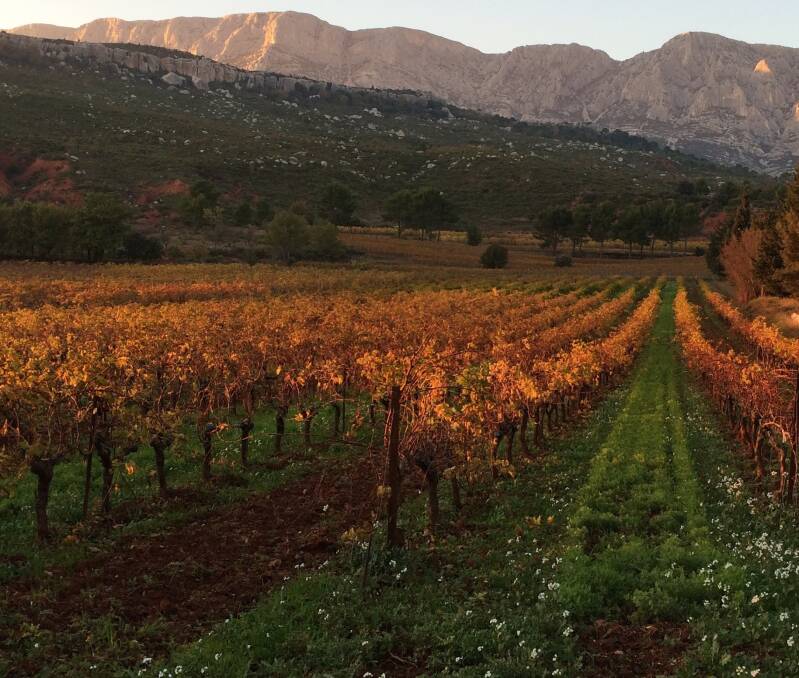 Domaine Richeaume