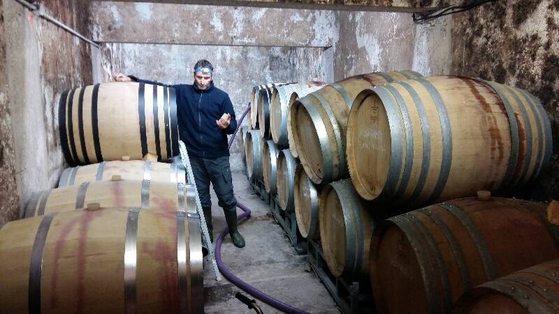 Domaine de Roquemale, Grès de Montpellier