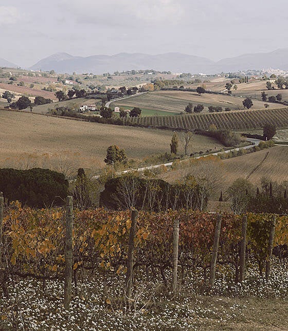 Tenuta Alzatura