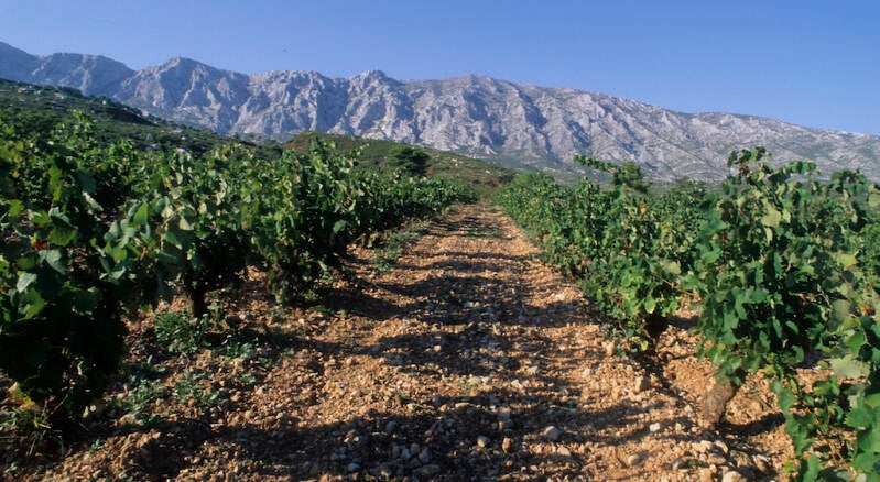 Domaine Richeaume