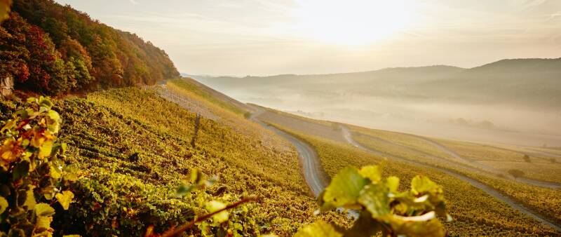Weingut Hans Wirsching, Franken