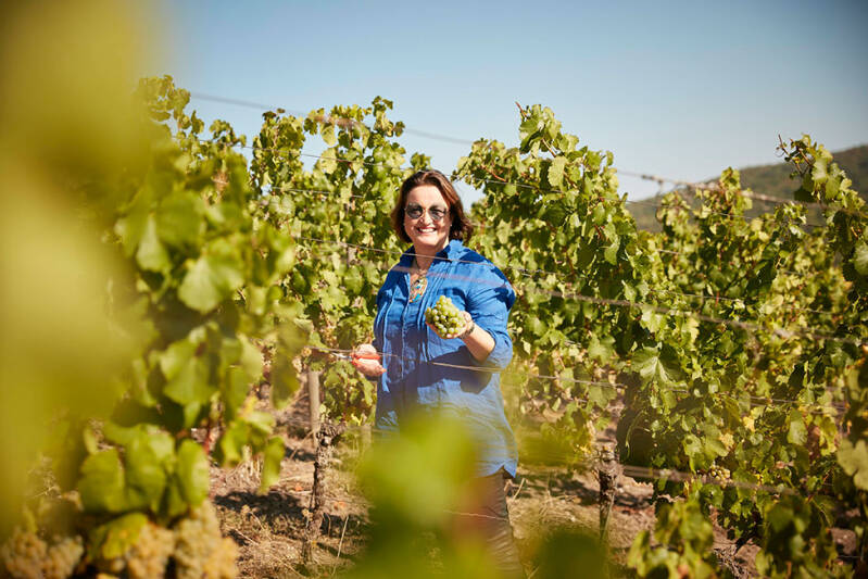 Weingut Hans Wirsching, Franken
