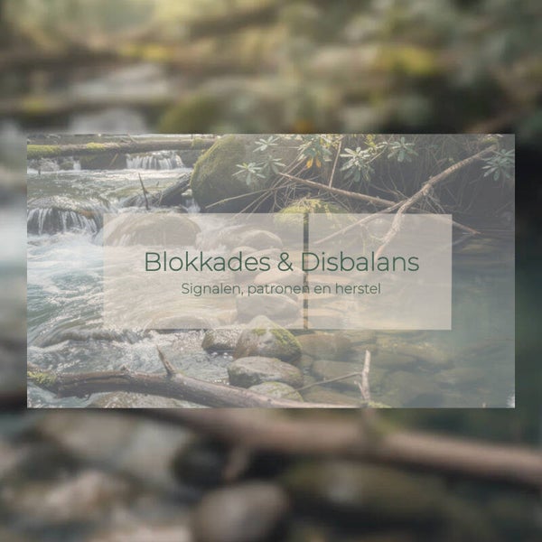 Praktische gids: Blokkades & Disbalans