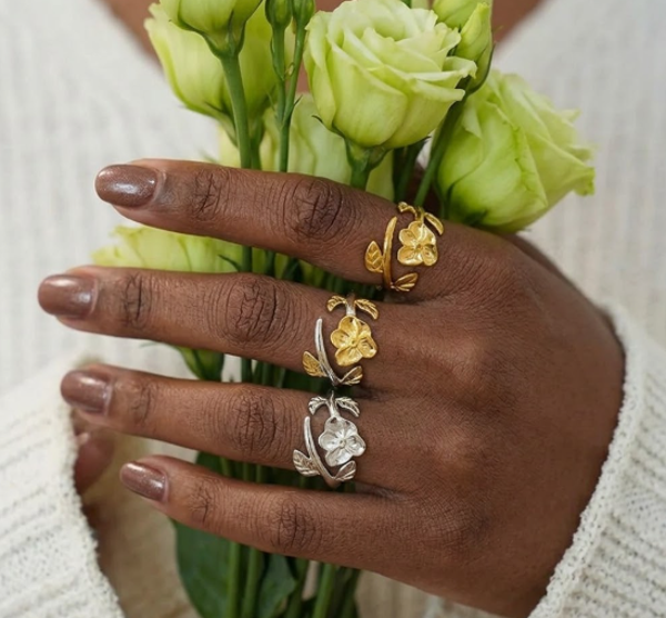 Bague Bg18 Eclosion couleur argent