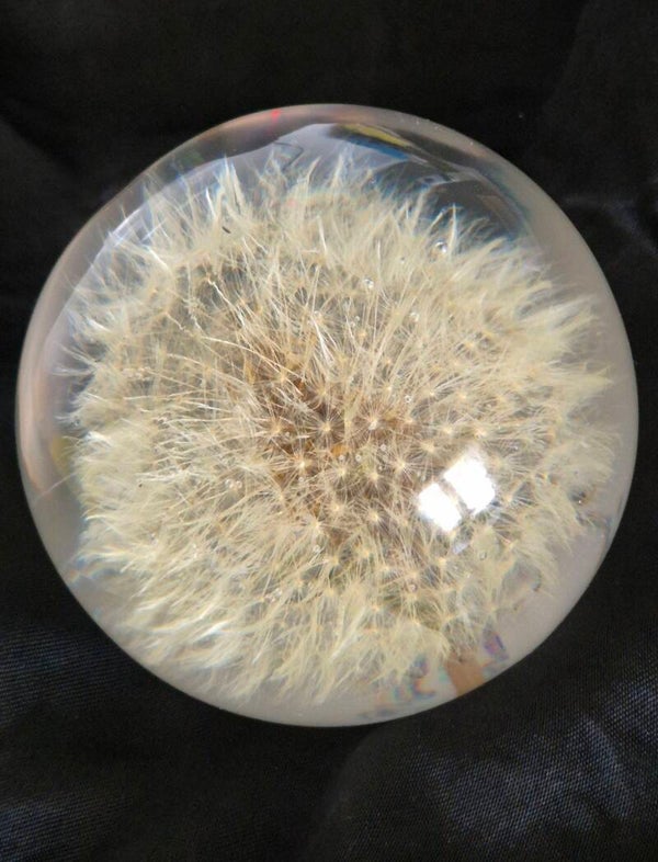 Sfär "Dandelion", M