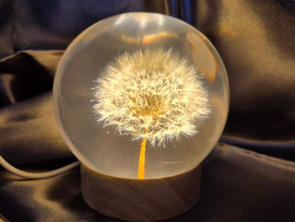 Sfär Dandelion, L