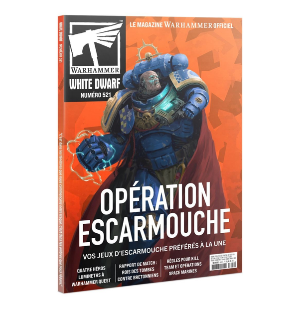 White Dwarf 521