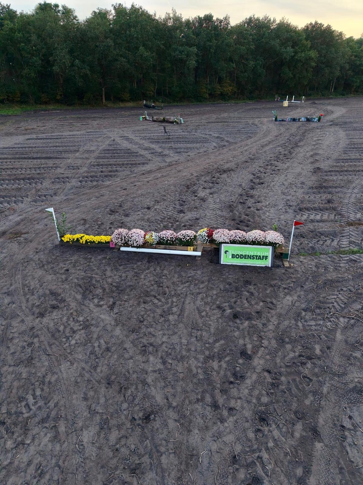 4-standard.jpg