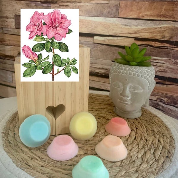 Fondant - AZALÉE DU JAPON