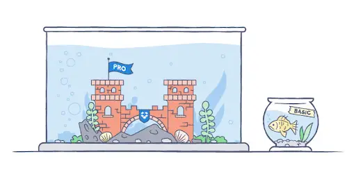 Illustration by Zach