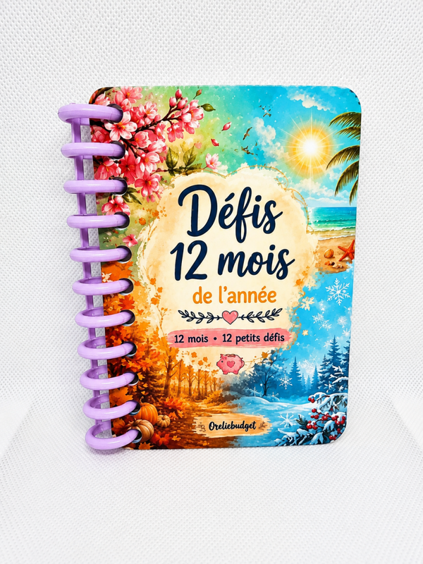 defis 12 mois A7