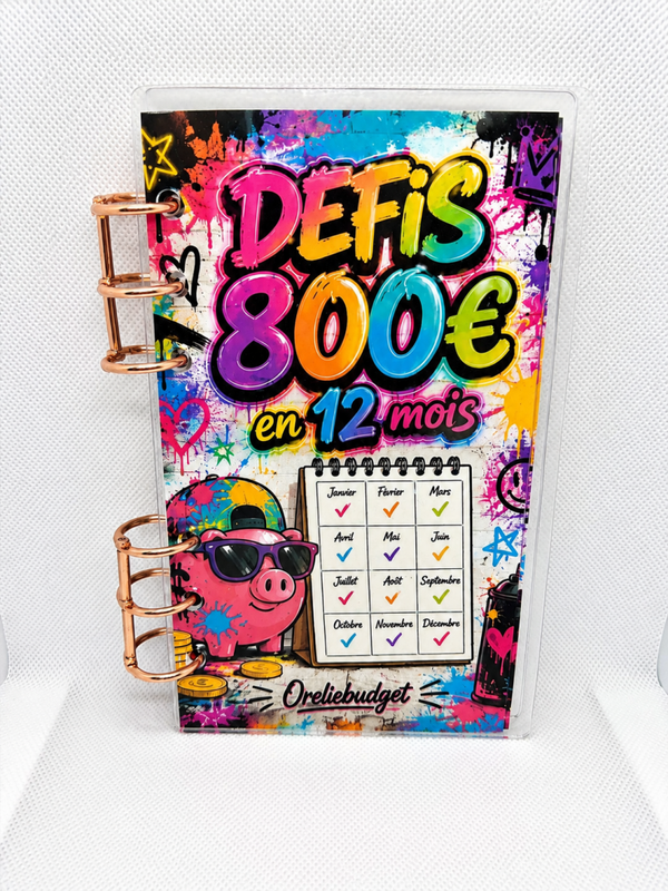 defis 800€ en 12 mois ou 300€