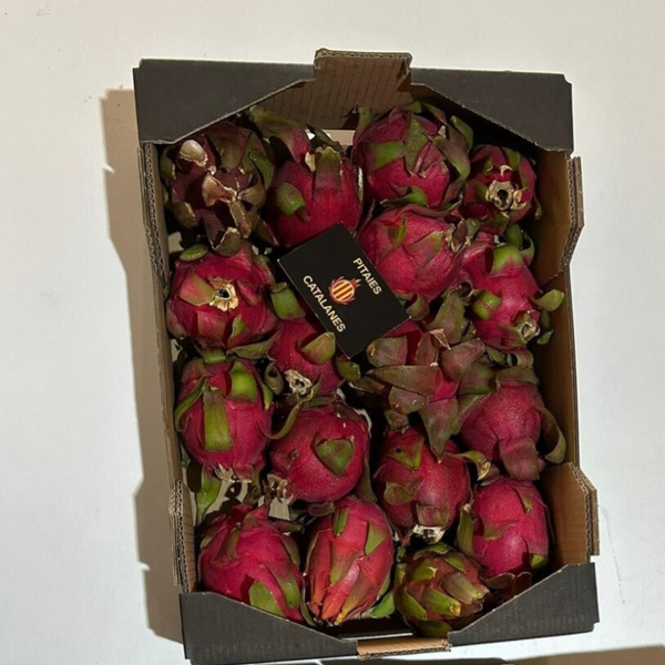 🐉 CAJA DE 4 KG DE PITAYAS