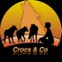 Crocs &amp; Co