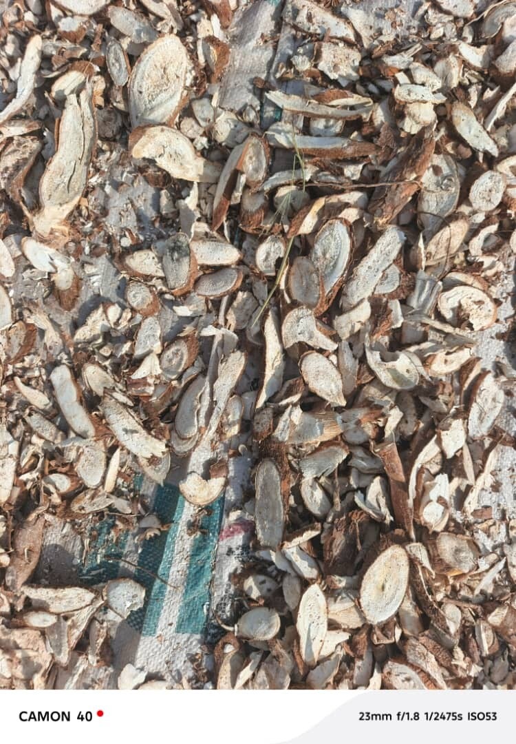 COTTON SEED HULL